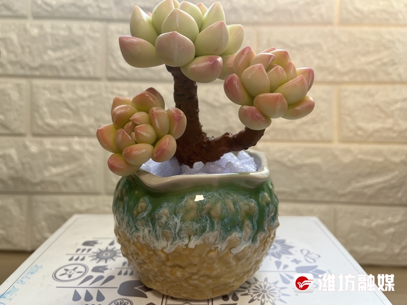 ToccaraOttxivr's tweet photo. 今天的治愈时刻！用不织布做的小雏菊挂饰，软fufu的超可爱，挂在书桌旁心情都变甜啦 https://t.co/voJPtFWrCc