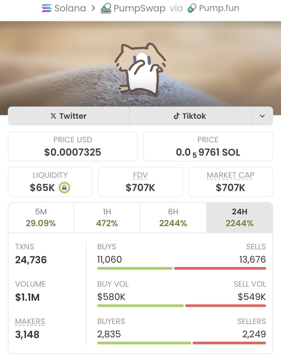 Secured a massive move with $SalaryCat Entered at $7.9k, now
