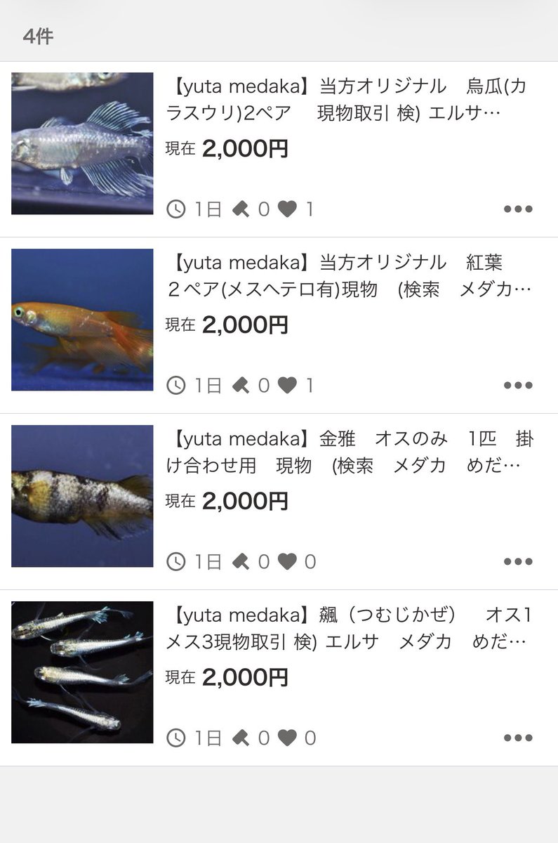 e_vxt's tweet photo. 短期でヤフオク出しました！
火曜日終了の為、スタート金額あげてますが綺麗なメダカ選んでだしたので是非🤫👍

https://t.co/44tcxGs3ZV https://t.co/ojJChO1ynu