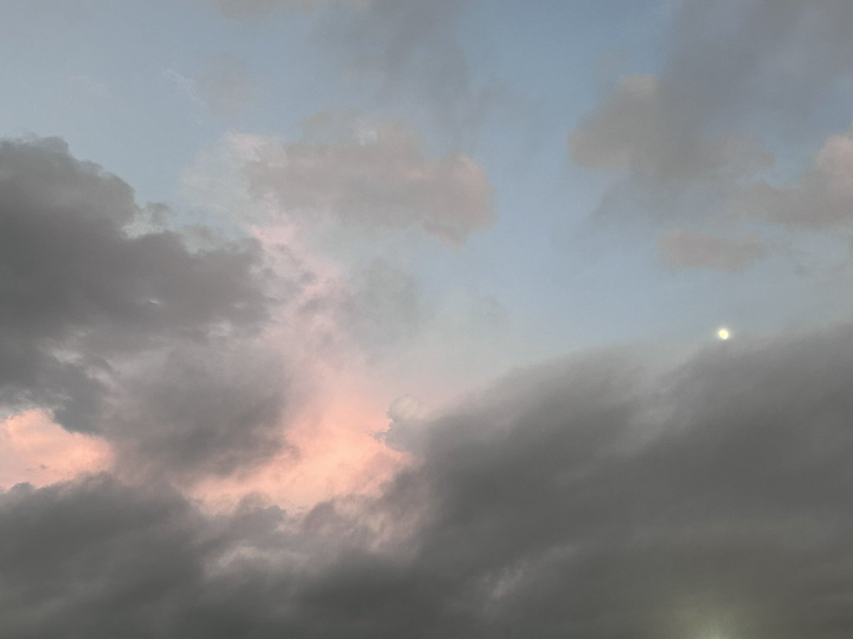 Sella___art's tweet photo. 昨日、こんな景色が撮れました

ChatGPTに送ってアドバイスをもらったのでこれより制作始めます🩷🖼

 #水彩画
 #絵描���さんと繋がりたい https://t.co/8GbogCOhdB