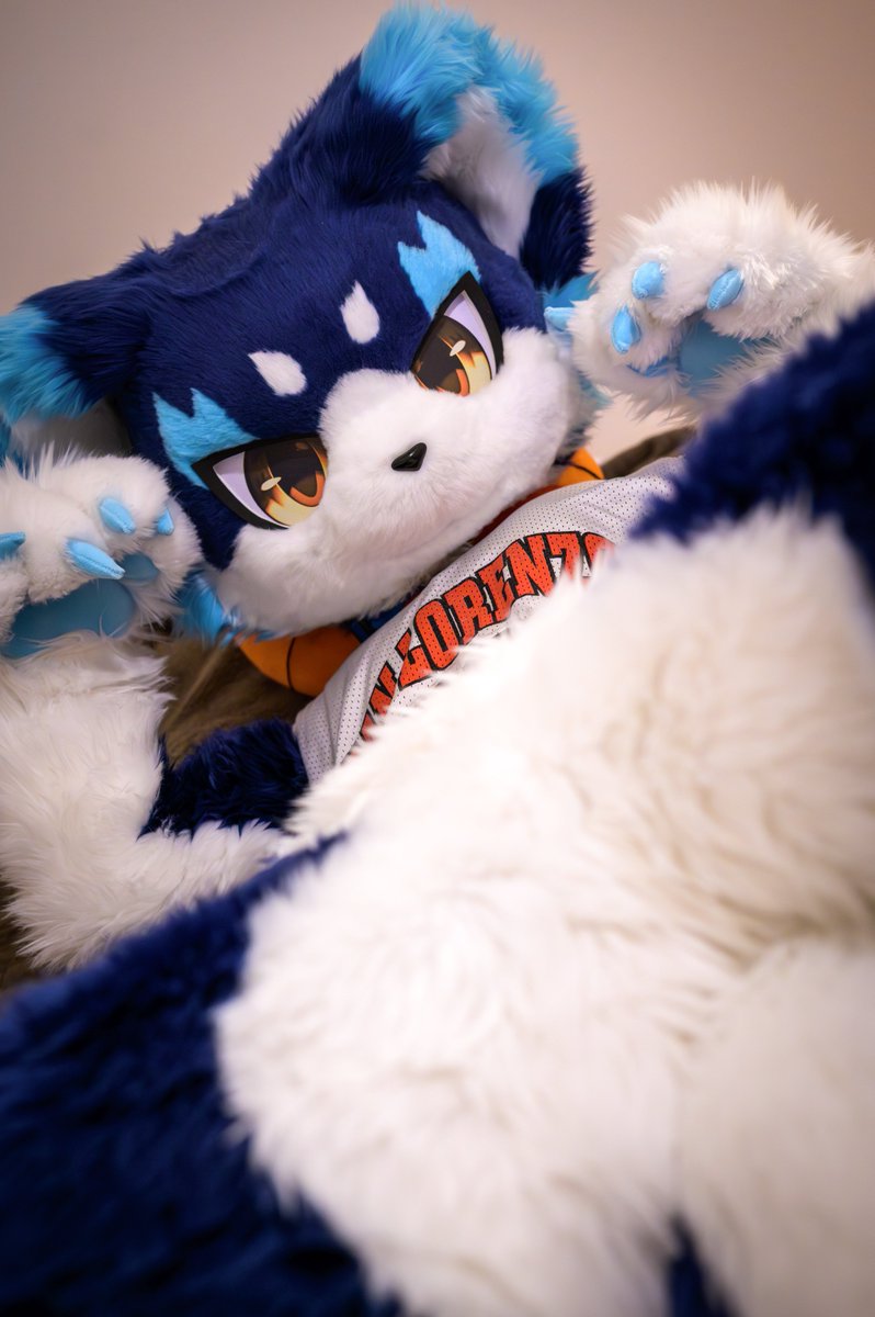 mofu91310711's tweet photo. #FursuitEveryday
ぱにゃ🐱🐾 https://t.co/w5TRBwo65v