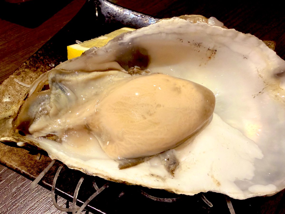 snow_m____'s tweet photo. うに食べて、活いか刺食べて、牡蠣食べて🤤 https://t.co/wnI9AC2Zwl