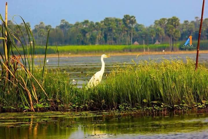 Forest Department, Government of Andhra Pradesh tweet media