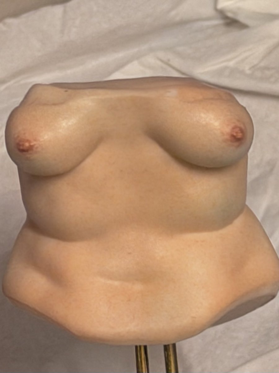 GhostCatGC's tweet photo. nipples painting WIP https://t.co/nAAYJpghXS