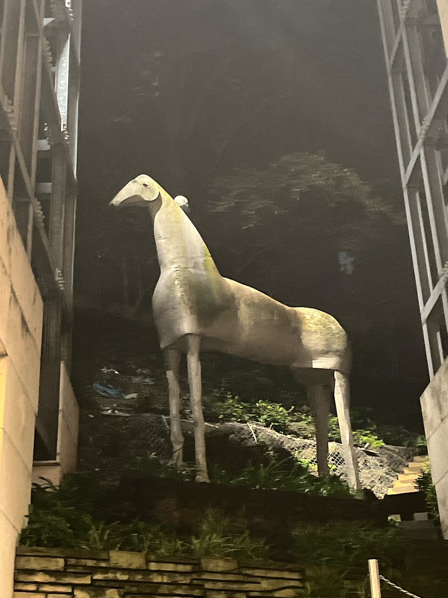 manzo_mucc's tweet photo. ミヤバ楽しかったー https://t.co/ENAT151j9m