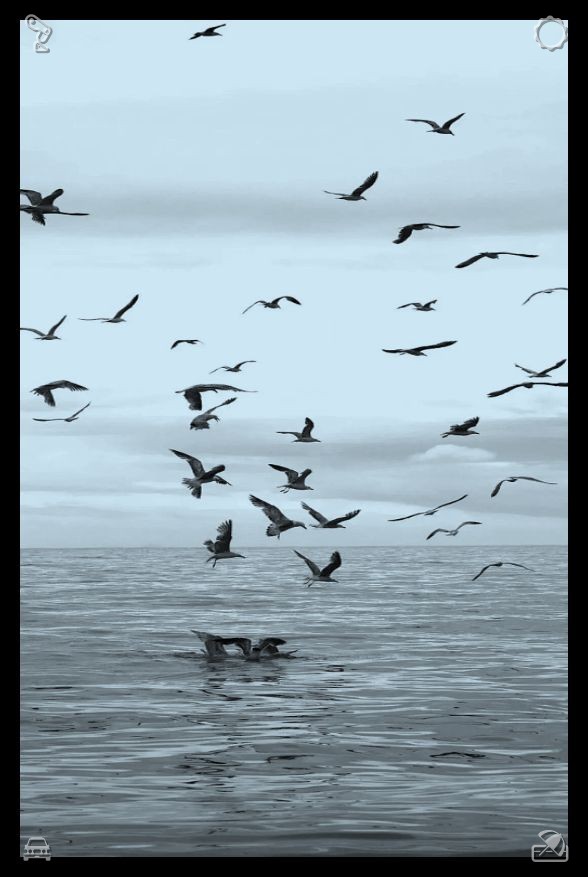 Aris_LN24's tweet photo. 🖲If you search carefully, beauty surrounds you everywhere.513127A resilient and steady mindset serves as your most powerful defense against challenges. Difficulties may be fleeting, yet the strong spirit you develop by conquering them stays with you forever. https://t.co/yohSMoualw