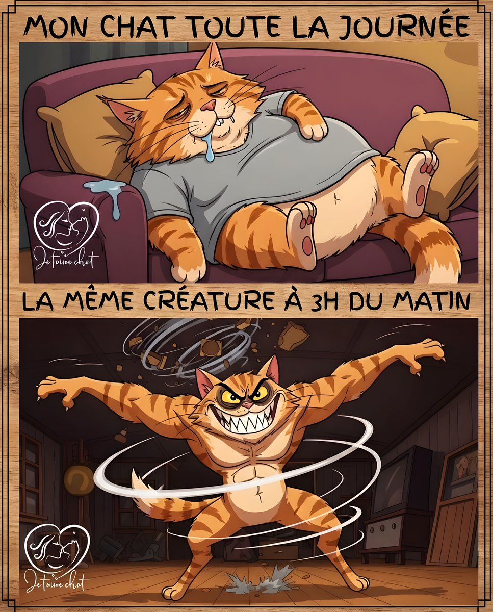 jtmchat's tweet photo. Rejoins la famille Je t'aime Chat ๐พ ๐ @jtmchat |
........#ChatsDeFrance #VieDeChat #AmourDeChat #ChatDuJour #Ronron #ChatLovers #UniversDesChats https://t.co/AryXJ1MZLp