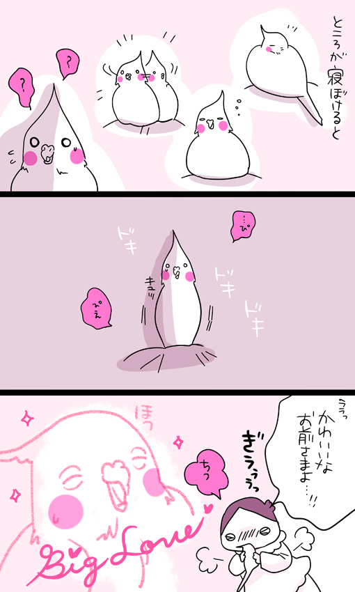 dollchka's tweet photo. 基本鳥なので敏感でびゃ！って動くけど
たまにうっとりよく寝てるときにそっと置いていく
目が覚めるとすごい悲しくなるみたいで小さい声で悲しそうに呼ばれる……
インコよ……どこまで可愛いんじゃいｗ可愛いしかないｗ https://t.co/UUEC3KA8Pk