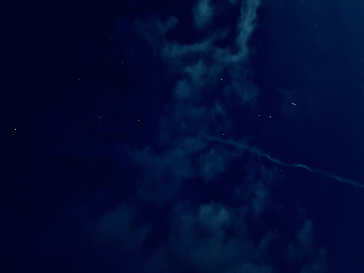 ico_qy's tweet photo. ２０年ぶりぐらいに夜の砂丘に行った。月が明るくて、そういえば月夜は明るいのよねって思い出した。 https://t.co/houOkTWqD4
