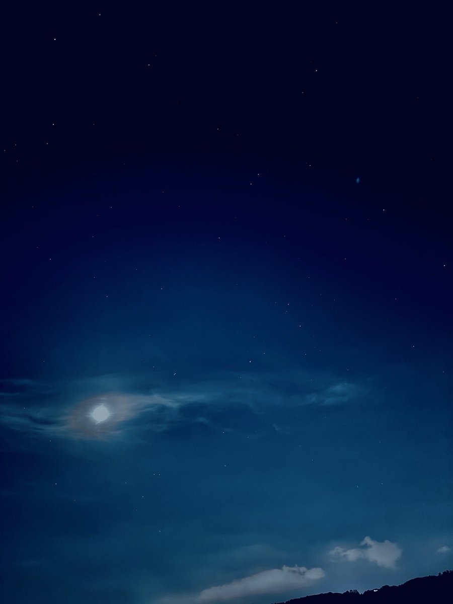 ico_qy's tweet photo. ２０年ぶりぐらいに夜の砂丘に行った。月が明るくて、そういえば月夜は明るいのよねって思い出した。 https://t.co/houOkTWqD4