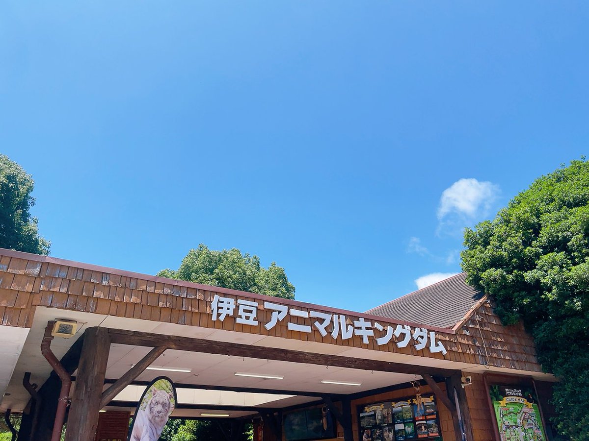 mocoront417's tweet photo. 去年は受験生がいたので控えめだったので
今年はfreedom✨ https://t.co/SXroQLRe0z