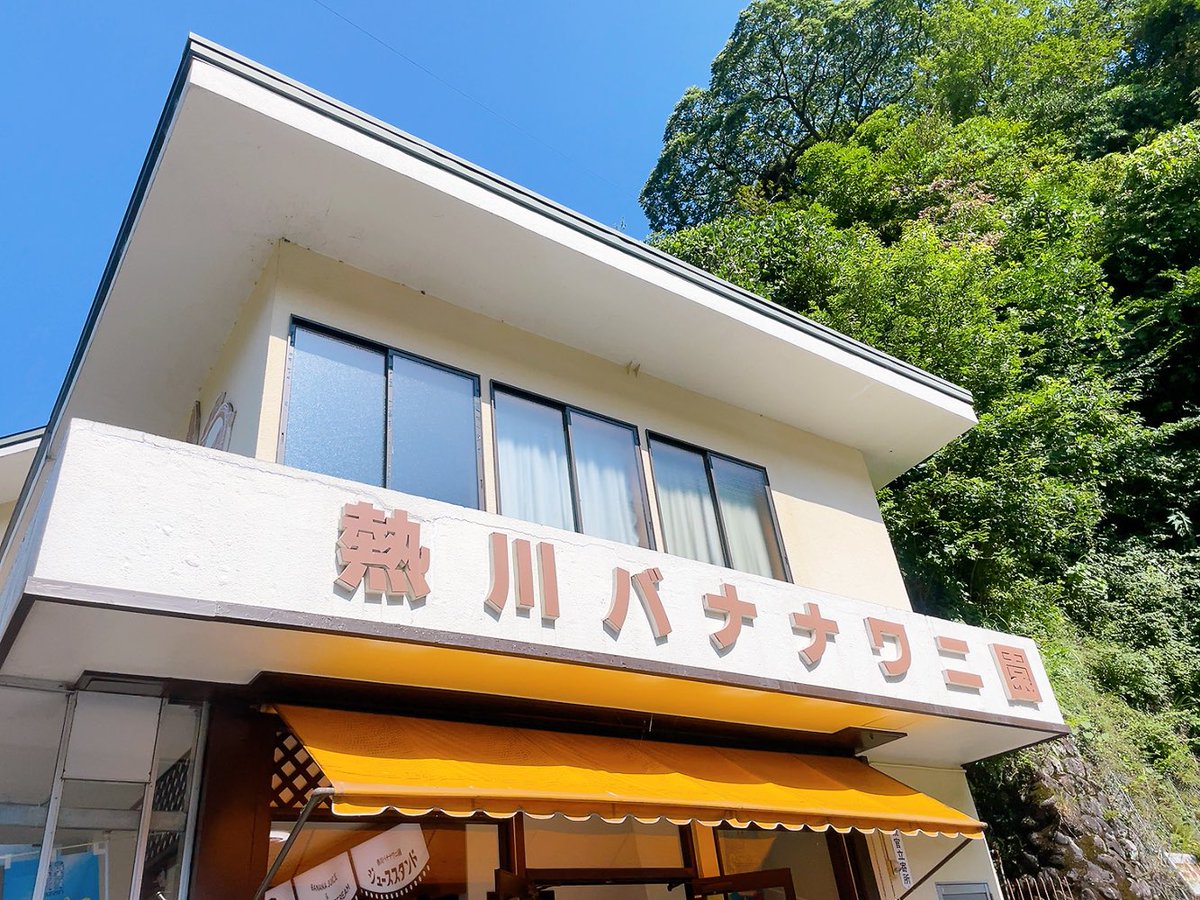 mocoront417's tweet photo. 去年は受験生がいたので控えめだったので
今年はfreedom✨ https://t.co/SXroQLRe0z