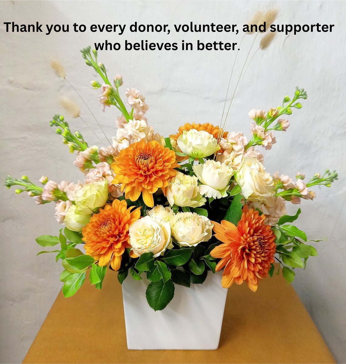 zerrydo's tweet photo. Visit our website www.clrfoundation and make a difference. #Kindness #GiveBack #Donate #Gratitude #CommunityCare #SpreadLove #BeKind https://t.co/I29qXJou2L
