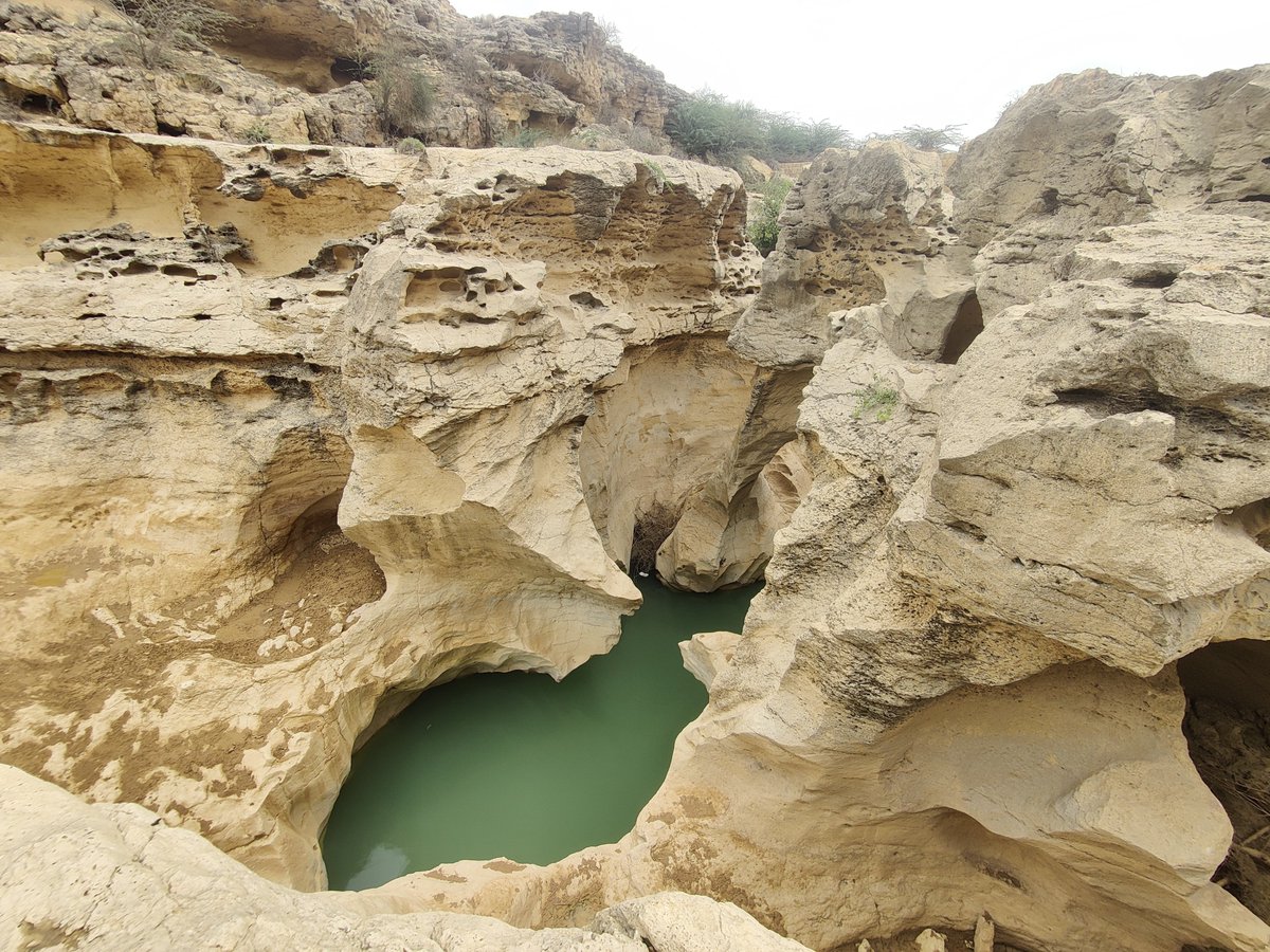 FarooqAzamPK's tweet photo. Lohi | Khirthar National Park https://t.co/Y1kEtMIDnW
