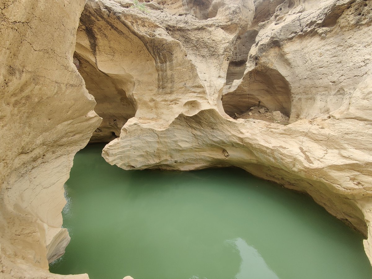 FarooqAzamPK's tweet photo. Lohi | Khirthar National Park https://t.co/Y1kEtMIDnW