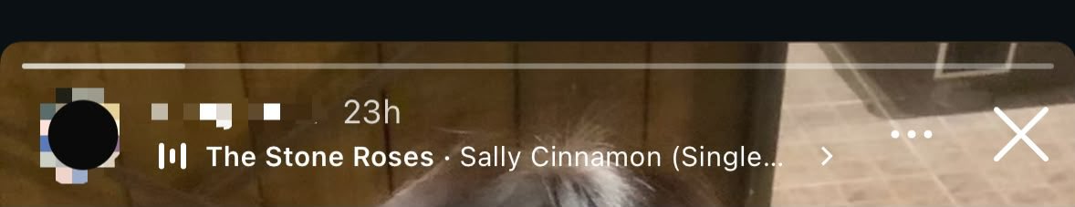 _____calla's tweet photo. bro si user who posted me Sally Cinnamon yg what i mean🧍🏻‍♀️😹 https://t.co/BPCRs8CcpN