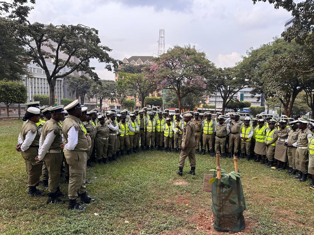 SP kananura Michael tweet media
