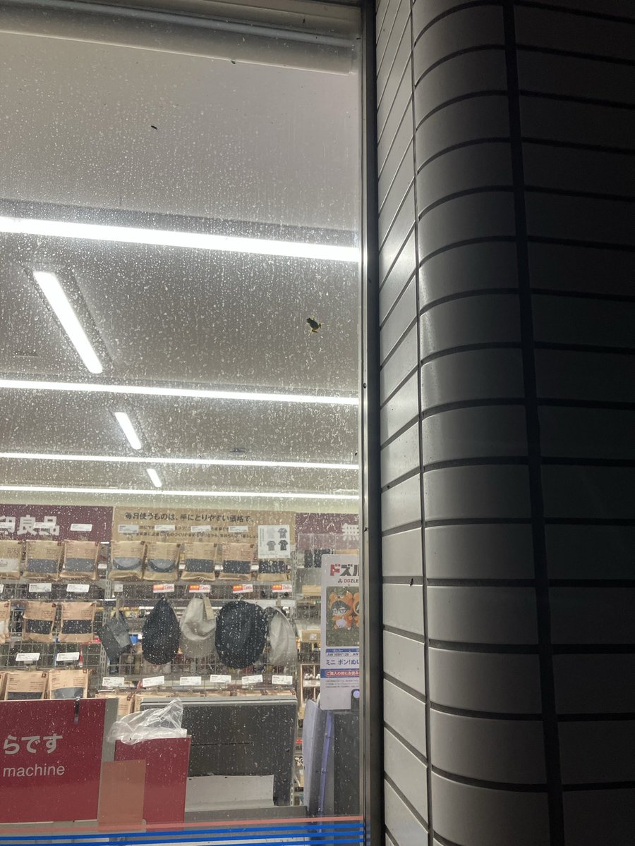 Dylan_4649's tweet photo. こんなに🐸ついてるローソン初めて見た https://t.co/tfM8xqR09e