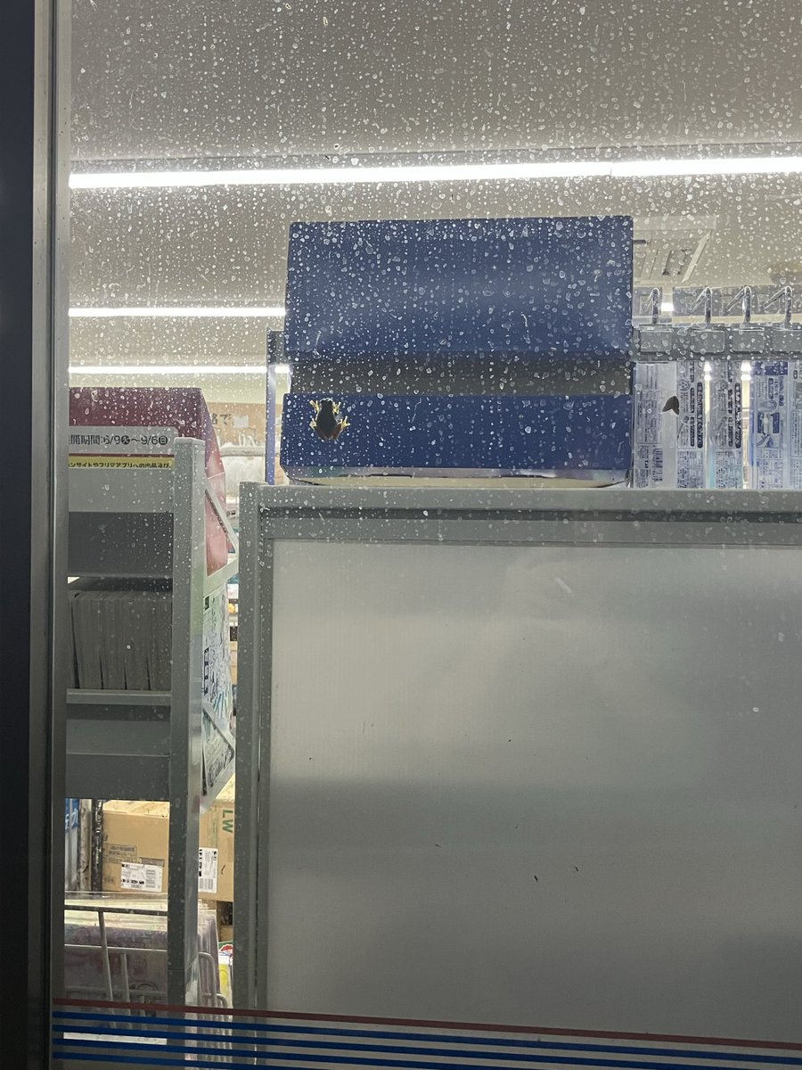 Dylan_4649's tweet photo. こんなに🐸ついてるローソン初めて見た https://t.co/tfM8xqR09e