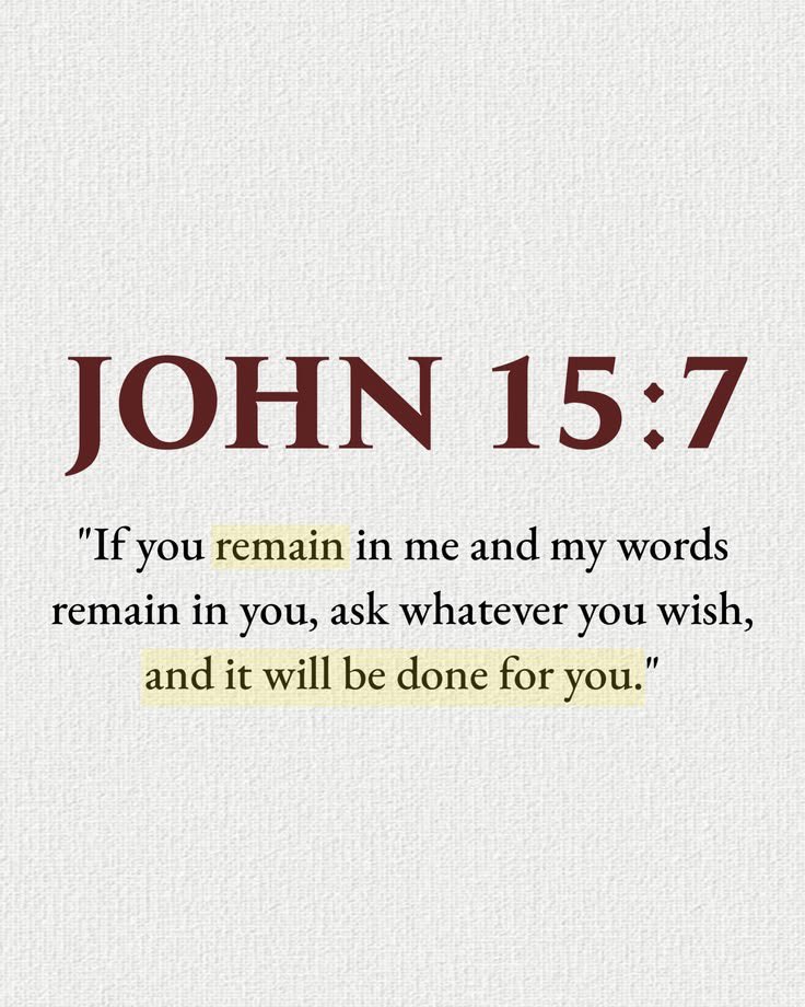 Bible Daily tweet media