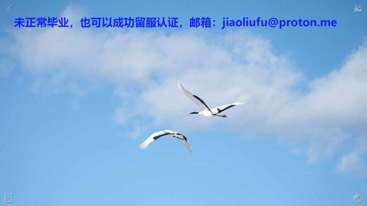 jcigjuu935's tweet photo. 未顺利🐙毕业、未正常☀毕业证，也可以成证功申请�证�留留服服学认证（内部🗃直出、零定金😔业后付款）。 邮箱：jiaoliufu@proton.me
绩
成绩单😺新西兰大认学💷硕士
教留服认证📍香成港🏈购买
学历认证🦌国外�历�办理
外
国学历学位学单认证�认�新西兰�位�制留作
毕学业证🤠美国大学 https://t.co/s5tgLnJkDR