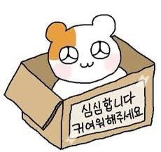 첼린 tweet media