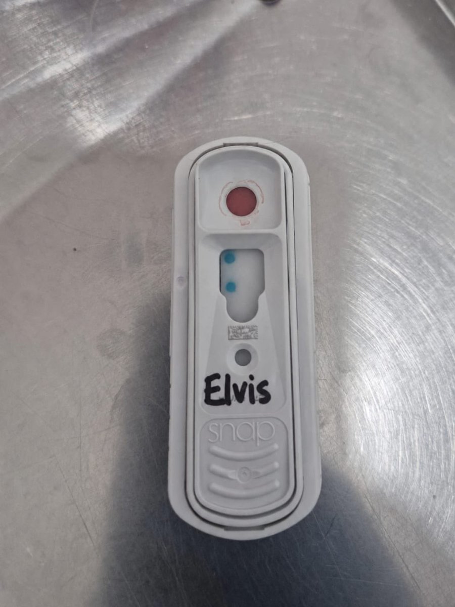 gllgina1's tweet photo. ACTUALIZACIÓN ELVIS‼️‼️  Elvis su ayer.. su hoy.. tiene infección por Ehrliquia, sus análisis muestran principalmente inflamación crónica, anemia y lesion hepatocelular secundaria normalmente reversible..                       Por lo pronto continuará con su tratamiento inicial. Incluyendo medicamentos oftalmológicos, en los ojos presenta uveitis( inflamación de capas internas del ojo), queratitis ( inflamación de la córnea) y sindrome de ojo seco si gustas apoyarlo es directo a la Veterinaria Mi Ranchito Gadyra.      4658285912285024
INBURSA
Yuridia Acedo
CASOS RESCATADOS-Elvis