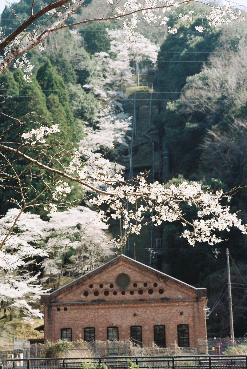 kyoto_suki's tweet photo. それでは皆さま、おやすみなさいませ(( _ _ ))..zzzZZ

#Olympus #OM2n #Film #FUJIFILM200 #チャンプカメラ https://t.co/kRsNDv1OjN