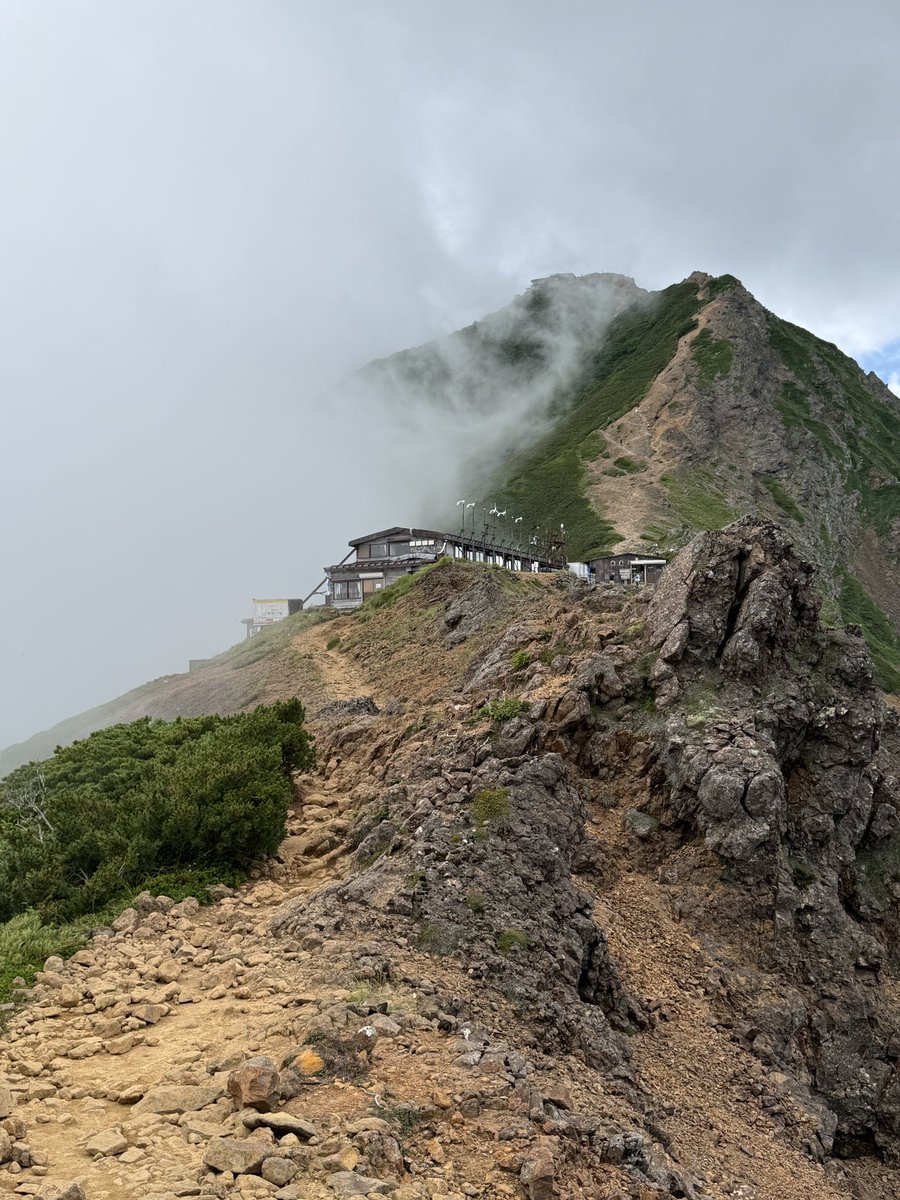 take2002's tweet photo. 梅雨明けしたので八ヶ岳の一番高いところ、赤岳へ行ってきました。2899mに登っても大丈夫だったので次は北アルプスだな。途中鹿さんに見つめられました。
行者小屋で「山なめんなよ！」

林道歩きも入れると10時間以上歩いてしまった。

https://t.co/YqWe4DlXbE https://t.co/NiMqCQuCvL