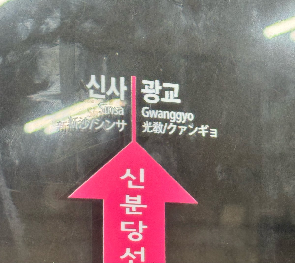 쿠 tweet media