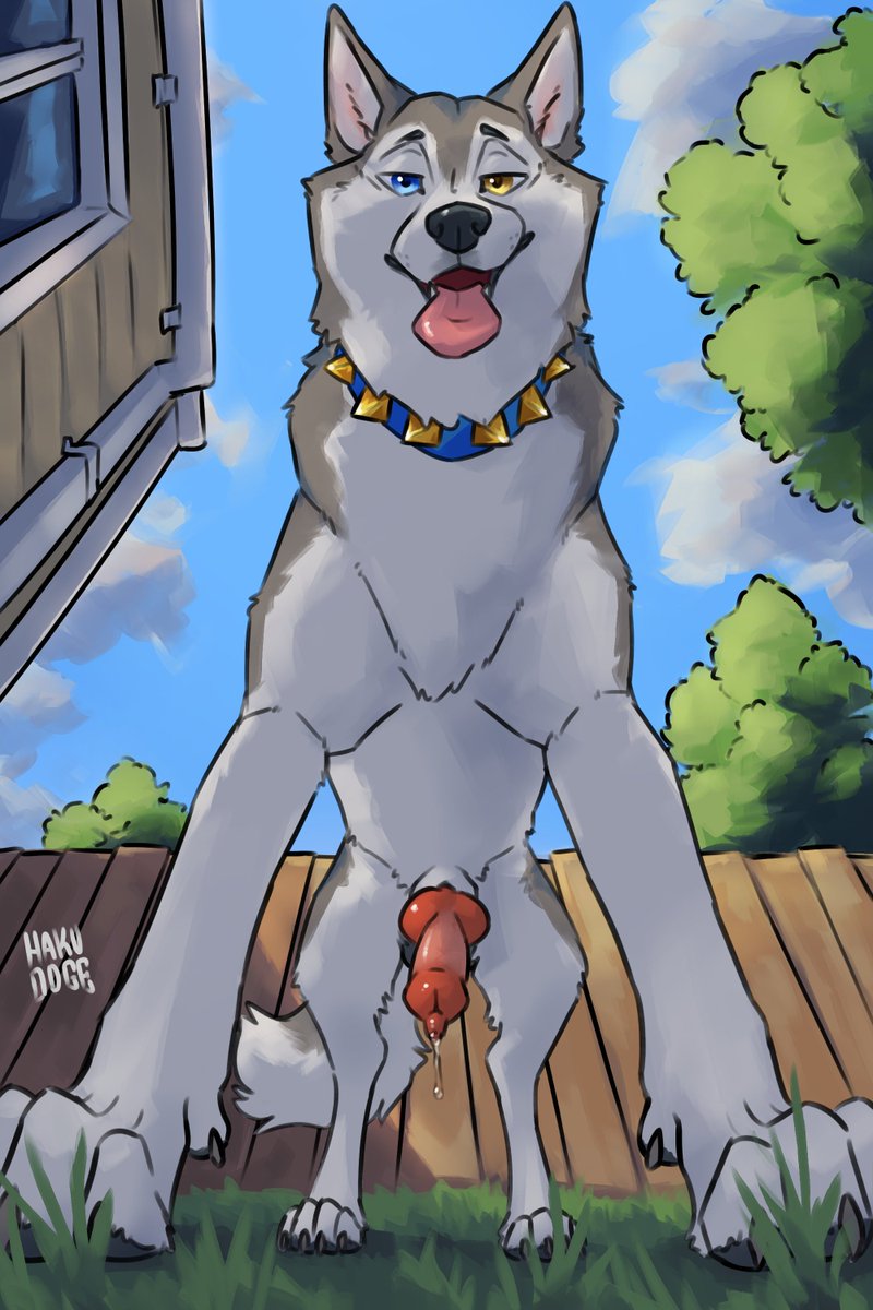 2DFDFeral's tweet photo. 🐾YOURE MORNING SHOULD CONSIST OF $ENDING TO THE $UPERIOR FERALS~

https://t.co/8Rp6sbiwvu

EVERY DAY, YOU SHOULD OPEN THAT WALLET AND LET THEM SLOBBER ALL OVER YOUR CA$H~

THEY NEED IT MORE THAN YOU DO~

NOW OPEN THAT MOUTH~

Furry Findom / 2DFD / Zoo / ATM / Paypig / Finsub https://t.co/KpQ9ZtuIJQ