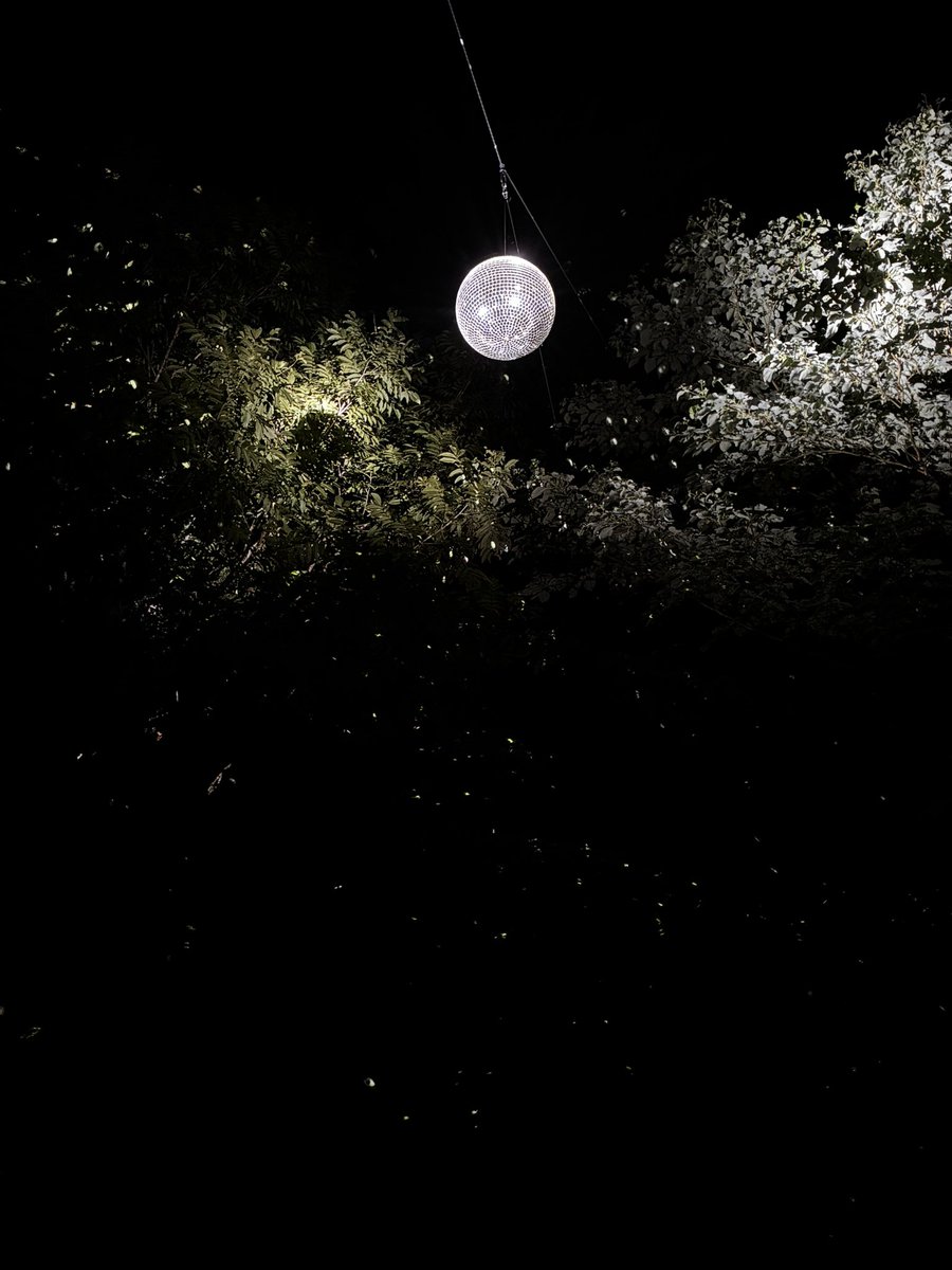 nankakayui's tweet photo. 急いだら終電間に合っただろうけどゆっくりしたくて宿を取った
夜のバードウォーク良かったな https://t.co/9FKvYAfXTv