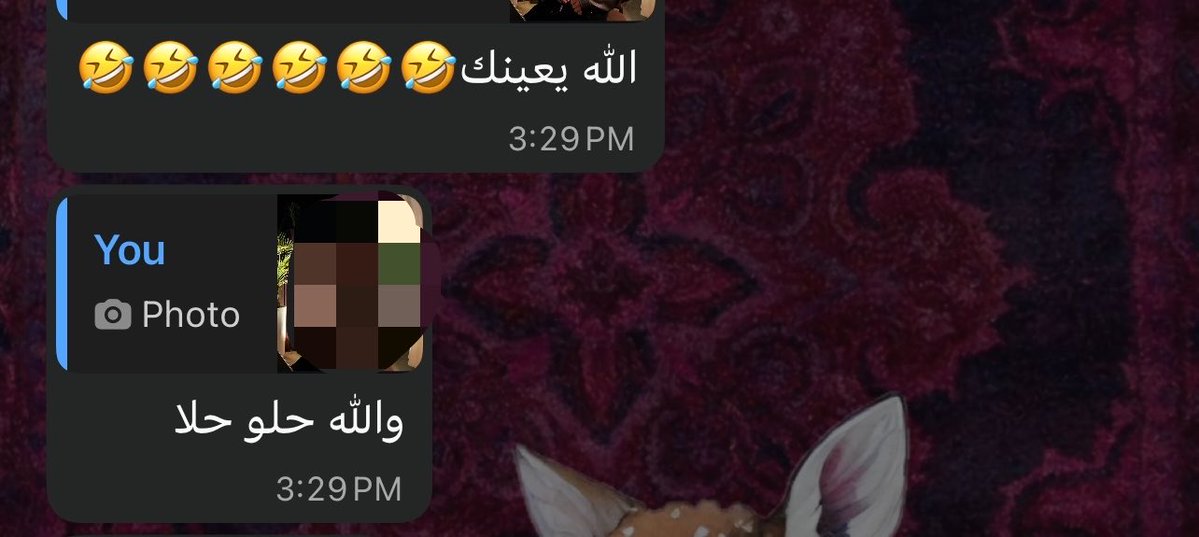 devillnoor's tweet photo. مش طبيعي أقسم بالله 😭😭😭😭😭 https://t.co/f1OjlEvgxD