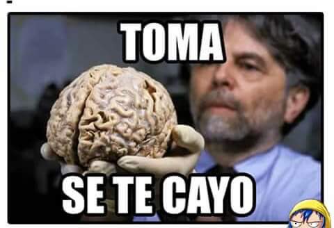 Timeline_AL's tweet photo. @TrincheroDNorte Es cierto lo que dicen, para ser hincha gallina hay que ser baboso https://t.co/GVUEmWOPpu