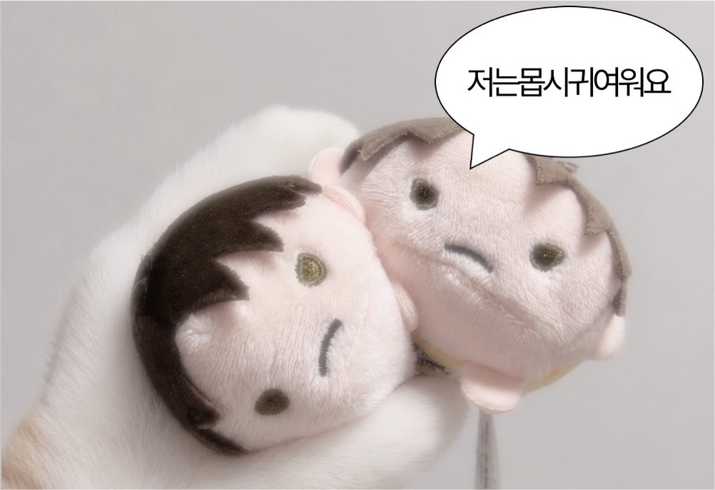 wo13y's tweet photo. 꽈아악 . . https://t.co/oKwILX4KzC