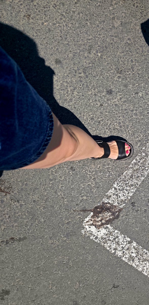 dollyphox's tweet photo. Walk with me... https://t.co/kOFdt5BCcc