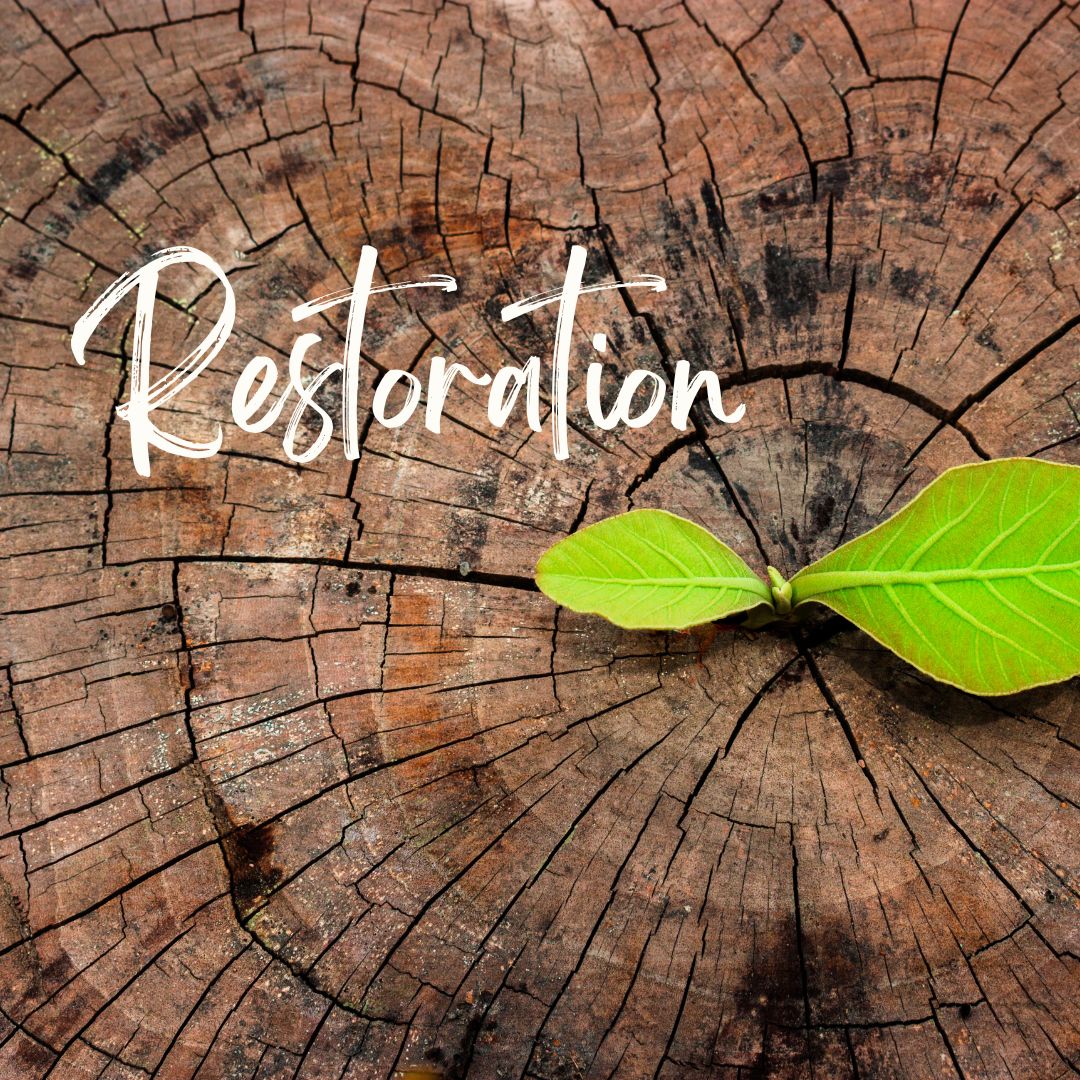 PastorCyndiG's tweet photo. Join Pastor Cyndi today at 11:00 am for God's Restoration!
https://t.co/RNidZVcQW7 https://t.co/bXfMGrjmVl