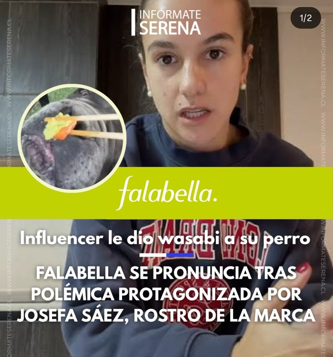 Vulgarcito15's tweet photo. El comunicado de los Pinochetistas pro golpe del grupo Falabella sobre la estúpida culiada de Josefa Saez es de una tibieza vergonzosa.

Cómo se dice: «Entre bueyes no hay cornadas». Que manera de protegerse y blindarse los cuicos y el facherio. https://t.co/Gzqz9UnsPf
