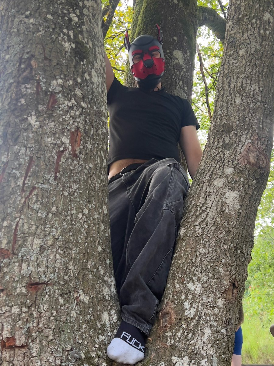 UlfhePup's tweet photo. Sometimes, all you need is a change of perspective... 🍃♥️

To leave the noise of the city behind, listen to the wind through the trees, breathe in the scent of the forest, and simply enjoy the moment. 

In pup life, nature has a way of bringing peace. 🌳🐾

#puppyplay https://t.co/iyJz6MQ3MH