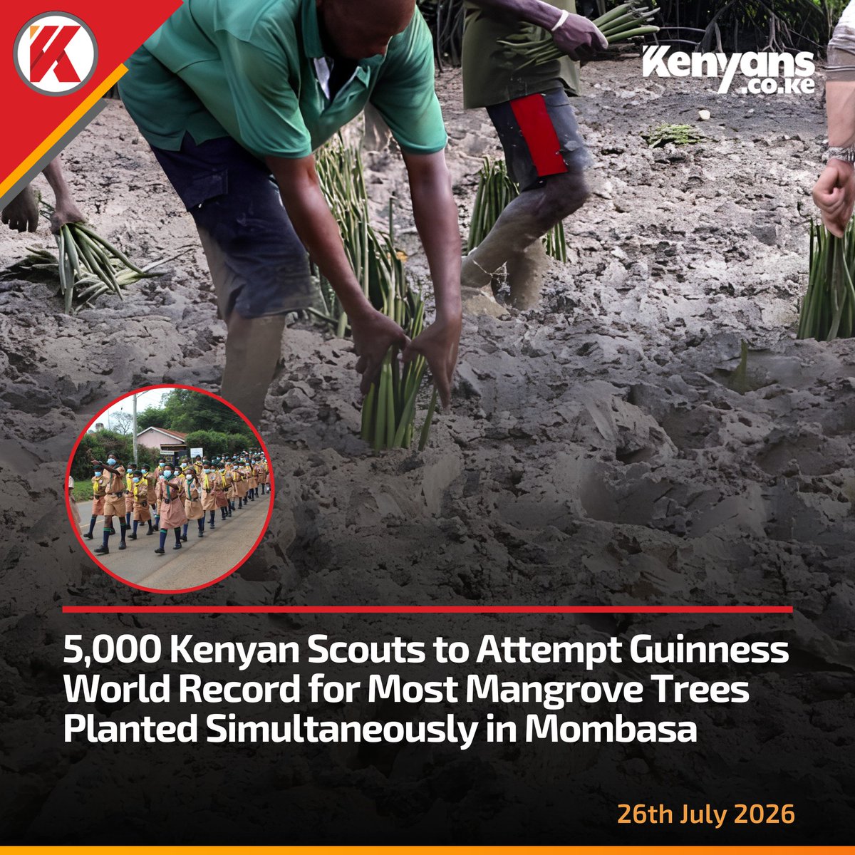 Kenyans's tweet photo. 5,000 Kenyan Scouts to attempt Guinness World Record for Most Mangrove Trees Planted Simultaneously https://t.co/RR6HZwCxgl