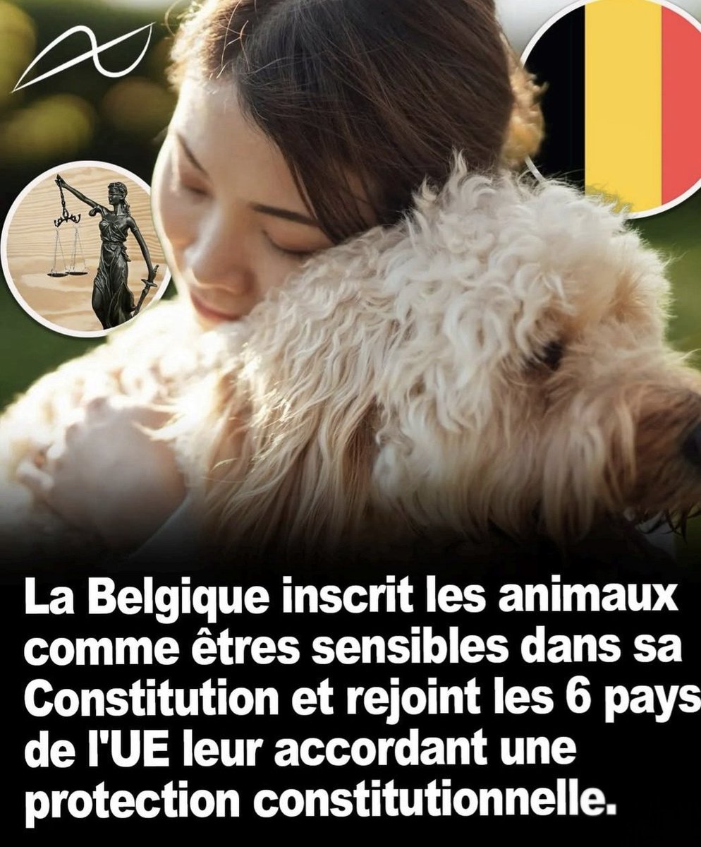 Red Squirrel 🐿️ 🇫🇷🇪🇺🏳️‍🌈 tweet media