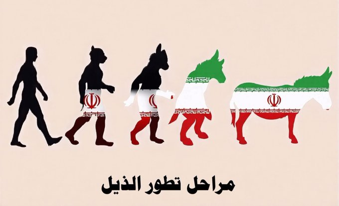 Sanaa_1Rifi's tweet photo. مراحل تطور كل من يوالي #إيران https://t.co/rpdTsuXuOB