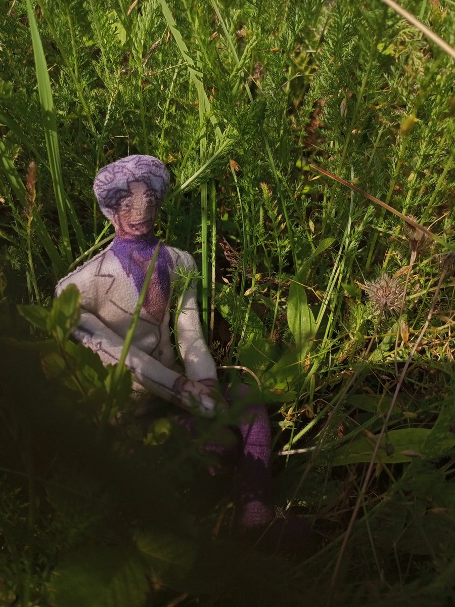 MorNaN13's tweet photo. I just got my Irving doll and immediately went to show him a beaty of nature https://t.co/4FgVUwO35p