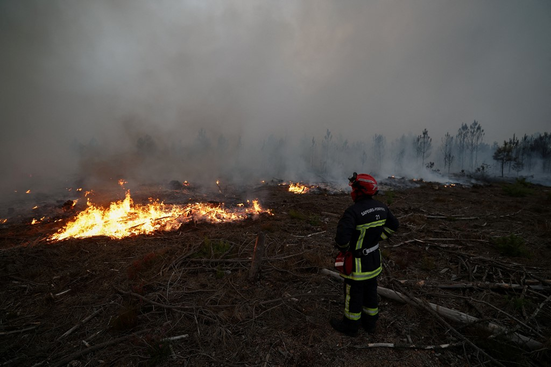 sandro_pozzi's tweet photo. El humo está presente en la ciudad de Burdeos. El consejo municipal está considerando la plena evacuación de la ciudad por el deterioro severo de la calidad del aire. El frente se extiende 20 kilómetros https://t.co/pyKbLXVegy