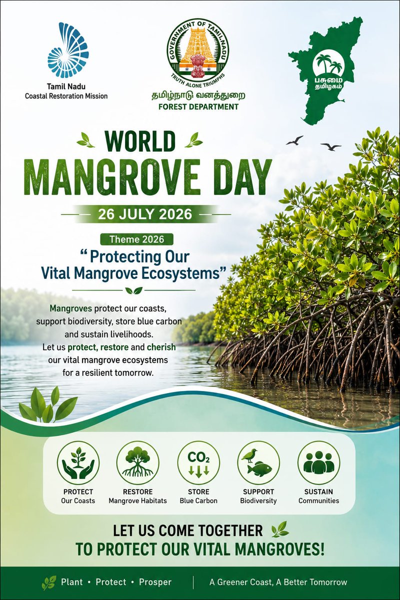 tnforestdept's tweet photo. Mangroves are Our Ecological Infrastructure – Safeguarding Tamil Nadu's Future.

#forests
#wildlife
#biodiversity
#mangroves
#worldmangroveday https://t.co/bjCu5MYZTk