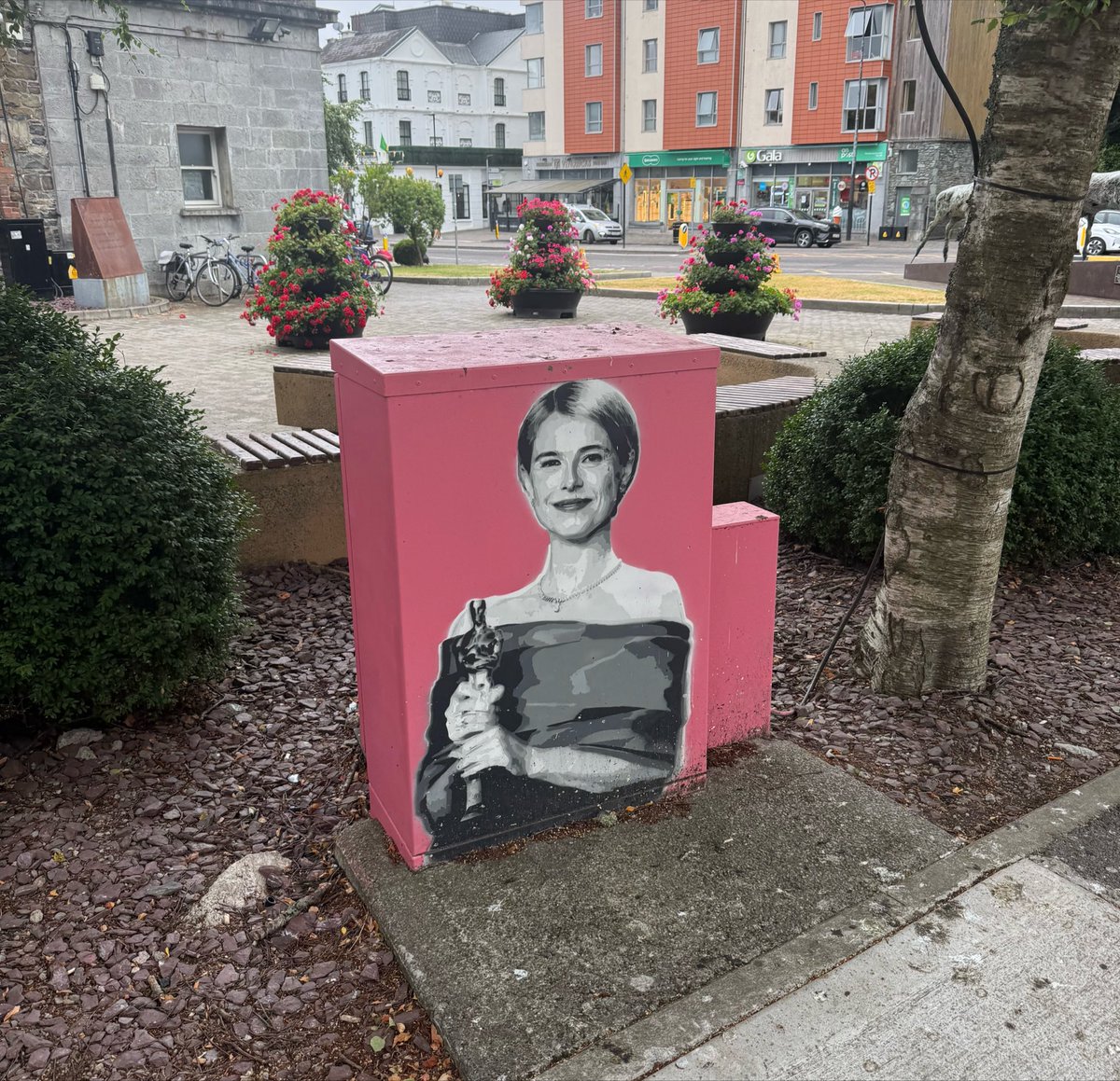WlLDR0SE's tweet photo. god bless the lovely town of killarney https://t.co/c193mj8TAq