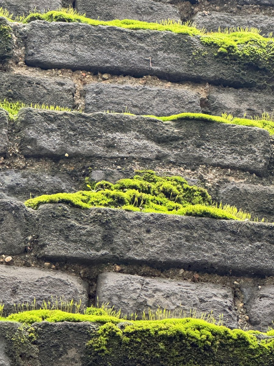 VitVcelar's tweet photo. Just hit a wall Break through it with one small bold step today—progress beats perfection, always. #ChallengeAccepted， https://t.co/kBpxU5mdTp