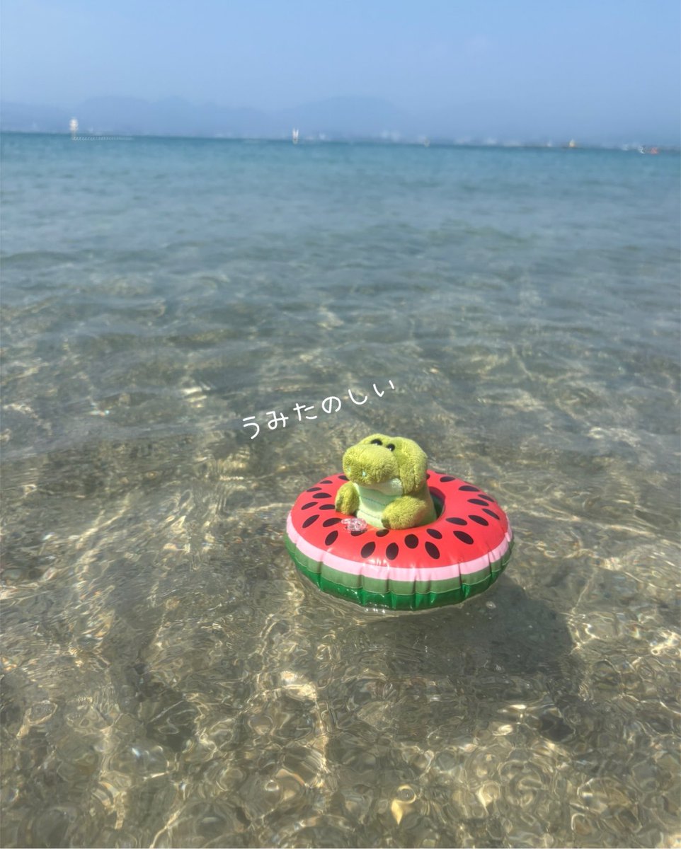 mofus_life's tweet photo. ぷかり　ぷかり
 #夏休みを楽しむワーリー https://t.co/geaTD28pWA