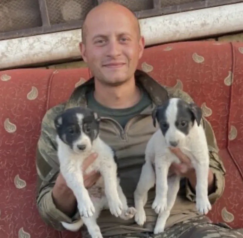 olumsuzsehitler's tweet photo. PKK’nın şehit ettiği yiğidimizin naaşına 4 yıldır ulaşılamadı. Siz şimdi onları affedeceksiniz, öyle mi? 

Şehit Nuri Melih Bozkurt. https://t.co/kVGgXPCMn2