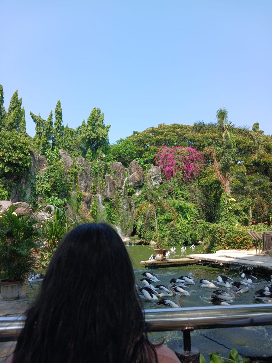 kiyelcaa's tweet photo. a day well spent 🌿🦒 https://t.co/JqWpnIMxuR